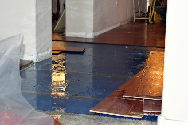 Professional Basement Flood Cleanup technician working in Sterling, VA